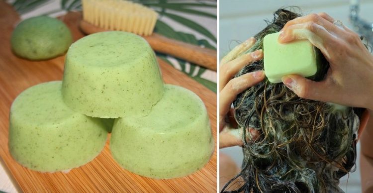 Prepara tu Shampoo Sólido 100% Natural en Casa ¡con Aloe Vera!