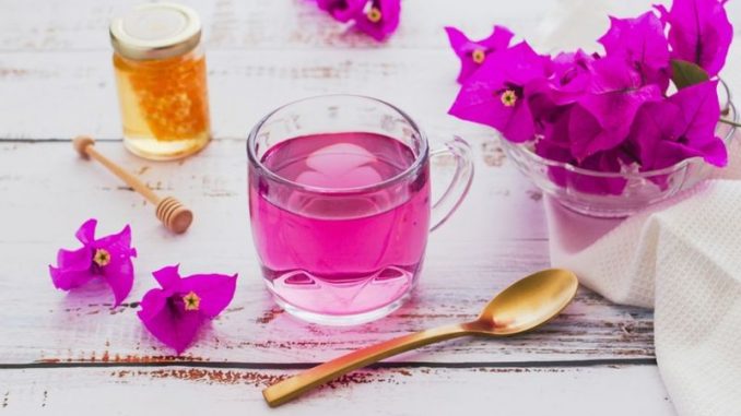 INFUSION BUGAMBILIA