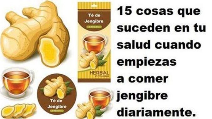 jengibre