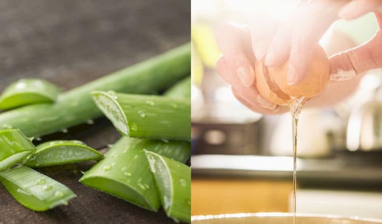Aloe Vera y Clara de Huevo para eliminar Arrugas de la Frente: así se pueden usar