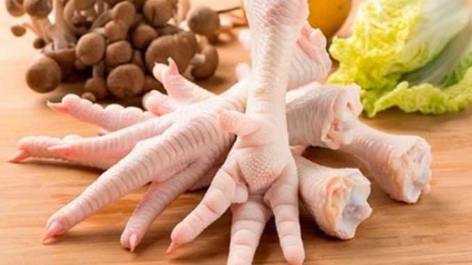 Pata-de-pollo