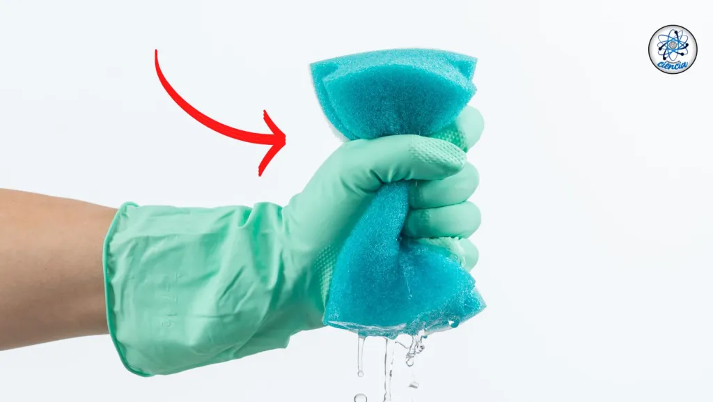 El truco para Desinfectar la Esponja de los Trastes sin utilizar Cloro
