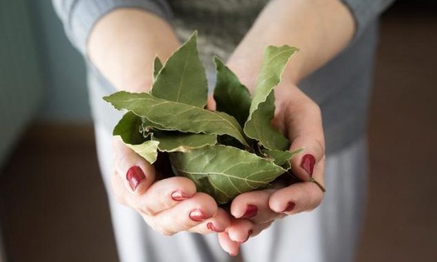 aromatizar-con-hojas-de-laurel-634x420