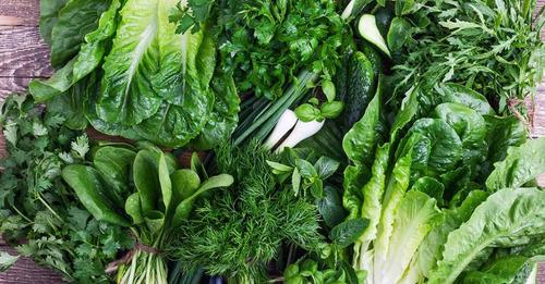 LECHUGA