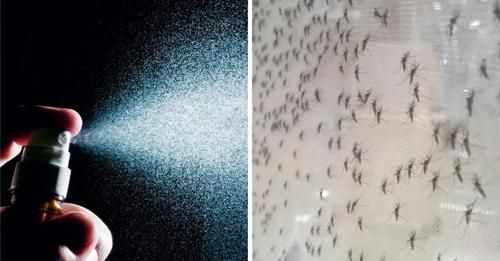 REPELENTE DE MOSQUITOS
