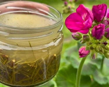 ¡Fertilizante Eficaz para una Floración Exuberante, Duradera y un Enraizamiento Rápido! ¡Fertilizante Eficaz para una Floración Exuberante, Duradera y un Enraizamiento Rápido!