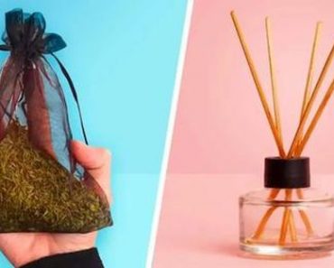 ¿Cómo Hacer un Ambientador Casero para Perfumar la Casa?