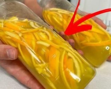 Por qué Poner Cáscaras de Naranja en una Botella: Truco Brillante