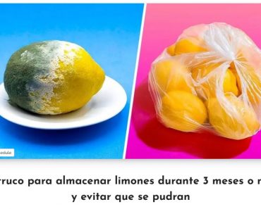 El Truco Para Almacenar Limones Durante 3 Meses o Más y Evitar que se Pudran El Truco Para Almacenar Limones Durante 3 Meses o Más y Evitar que se Pudran