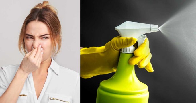 Elimina el Olor a Pipí del Baño en Tu Casa, Restaurante u Oficina: Mezcla Poderosa