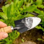 El Bicarbonato Sódico es el Mejor Amigo del Jardinero: Aquí tienes 10 Ingeniosos Usos en el Jardín