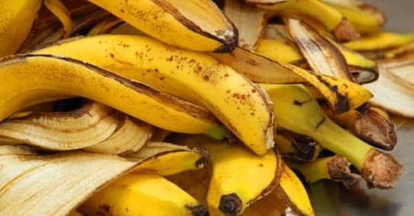 Aprende a Preparar un Fertilizante con Cáscara de Plátano para Revivir tus Plantas