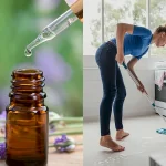 Descubre Cómo Trapear con Lavanda para Ahuyentar Arañas y Cucarachas de tu Hogar