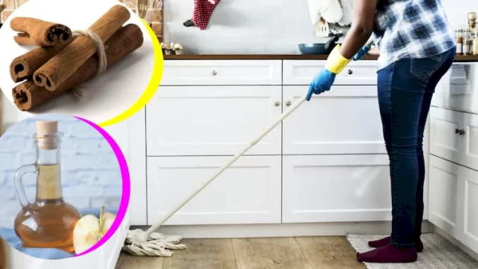 trapear-la-casa-con-canela-y-vinagre-beneficios