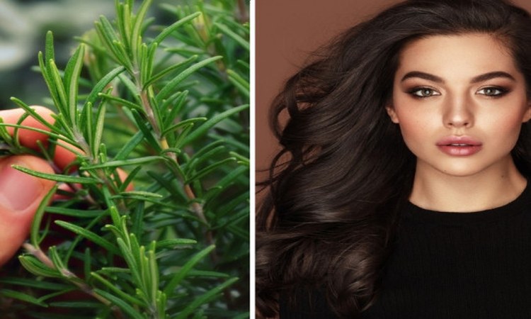 Cómo Hacer Acondicionador de Romero para Oscurecer el Cabello y Evitar que se Caiga