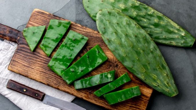 nopal3