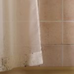 «Frescura Garantizada: Cómo Deshacerte del Olor a Humedad en la Ropa de Forma Rápida y Efectiva»
