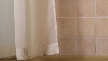 «Frescura Garantizada: Cómo Deshacerte del Olor a Humedad en la Ropa de Forma Rápida y Efectiva»