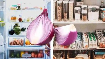 ¿Dónde Guardar las Cebollas: en la Despensa o en la Nevera? Casi todo el mundo se equivoca.