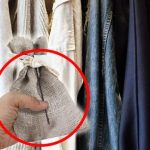 Descubre por qué Colocar una Bolsa de Sal en Tu Armario