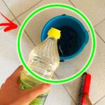 Sabes que Puedes Usar Vinagre  Para Devolverle el Brillo a los Pisos