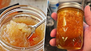 Cómo Preparar Mermelada sin Azúcar con 2 Manzanas y 6 Naranjas