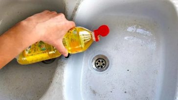 ¿Cómo Eliminar los Malos Olores en el Fregadero de la Cocina?