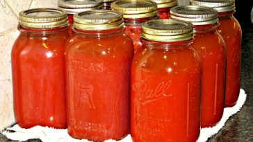Receta casera de la abuela para hacer Zumo de Tomate sin exprimidor