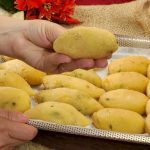 Deliciosa Empanadilla de Yuca Rellena, muy sabrosa y hecha con pocos ingredientes