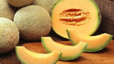 Tips para saber si el Melón está Maduro, no necesitas cortarlo