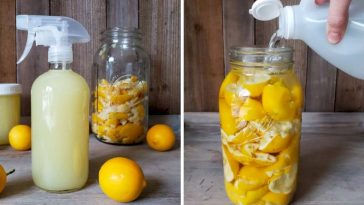 Coloca rodajas de Limón en un tarro con Vinagre Blanco y tendras algo muy útil en tu Hogar