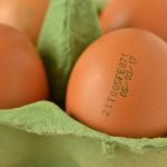 El Verdadero Significado de la Fecha de Caducidad de los Productos