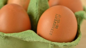 El Verdadero Significado de la Fecha de Caducidad de los Productos