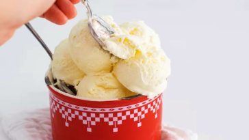 Dulce tentación: Crea tu helado casero de leche condensada en minutos