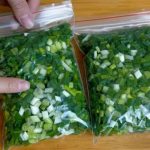 ¿Necesitas saber cómo Conservar el Cebollin? Tengo un truco para compartir