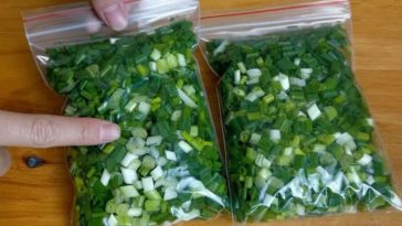 ¿Necesitas saber cómo Conservar el Cebollin? Tengo un truco para compartir