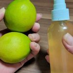 ¡Despídete de las Plagas! Cómo Ahuyentar Hormigas, Moscas y Cucarachas con Remedios Naturales