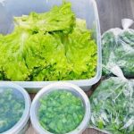 ¡Trucos Infalibles para Conservar Cilantro, Lechuga y Cebollino por Más Tiempo!