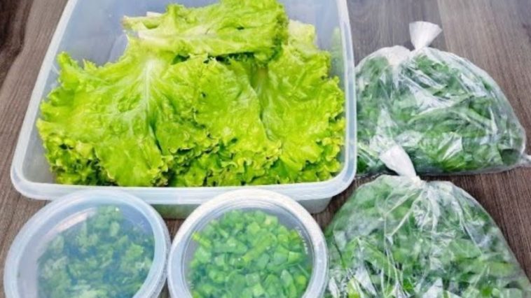 ¡Trucos Infalibles para Conservar Cilantro, Lechuga y Cebollino por Más Tiempo!