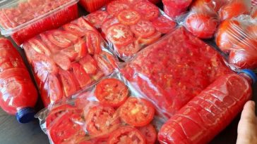 ¡Siempre tengo Tomates Frescos! Este truco casero me salva todo el año