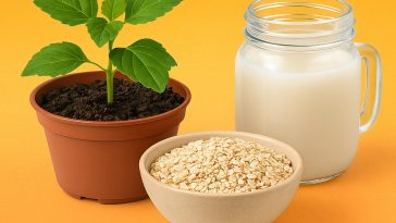 🌾✨ ¡Avena en el jardín! Descubre cómo usarla como fertilizante, repelente y abono líquido 💧🌱