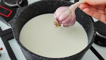 🧄🥛 Leche de Ajo: El Remedio Casero que Está Sorprendiendo a Todos 🌿 ¡Descubre sus Beneficios Poderosos!