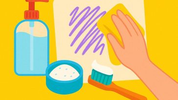 ¡Truco Casero Infalible! Elimina Manchas de la Pared sin Dañar la Pintura
