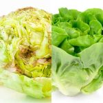 Truco para que la Lechuga no se Dañe (Oxide) que solo conocen los mejores Chef