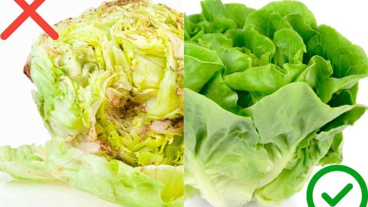 Truco para que la Lechuga no se Dañe (Oxide) que solo conocen los mejores Chef