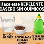 ¡Adiós a las Plagas! El Repelente Casero Natural Que Todos Están Probando